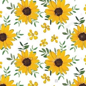 Meet your Posher, Alisha